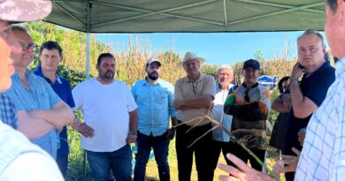 Dia de Campo reúne lideranças do agro em Porto Nacional