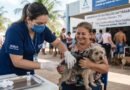 Caso de raiva canina em Palmas reforça alerta para vacinação de cães e gatos