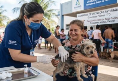 Caso de raiva canina em Palmas reforça alerta para vacinação de cães e gatos